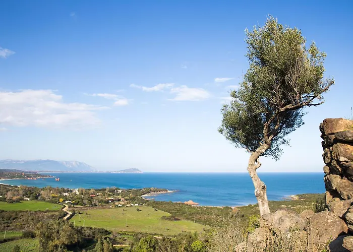 Apartment Beach Houses