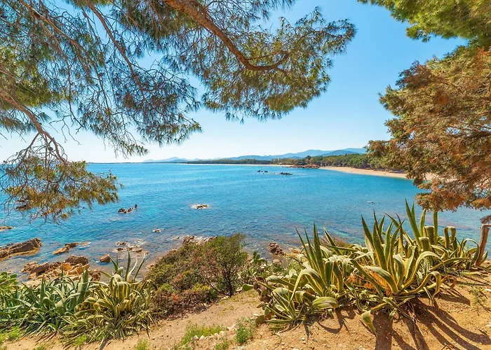 Beach Houses Apartment